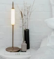 Lampa stołowa minimalistyczna Dunhammer Pale brass - EKTA Living
