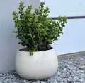 Donica ogrodowa ceramiczna Ø33, kremowa - Polnix