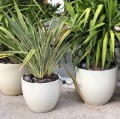 Doniczka ceramiczna z podstawką Ø41, kremowa - Polnix