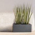Podłużna donica ogrodowa niska z włókna ceramicznego  60x17x17, szary - Polnix