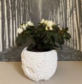 Ceramiczna osłonka ze strukturalnym wzorem Ø17, biała - Polnix