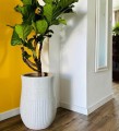 Doniczki wysokie do salonu, kremowe terrazzo mat, 2 szt - Polnix