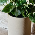 Donice z cementu Granito Creme, zestaw 2 szt - Nordal