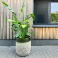 Donice ogrodowe ceramiczne wysokie szkliwione zielone, 2 szt - Polnix