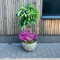 Donica ogrodowa ceramiczna szkliwiona zielona Ø 46 cm - Polnix
