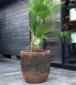 Mrozoodporna donica ogrodowa ręcznie wykonana Ø 30 cm, brąz - Polnix