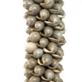 Chwost zawieszka Shell Cotton Tassel Grey BAZAR BIZAR