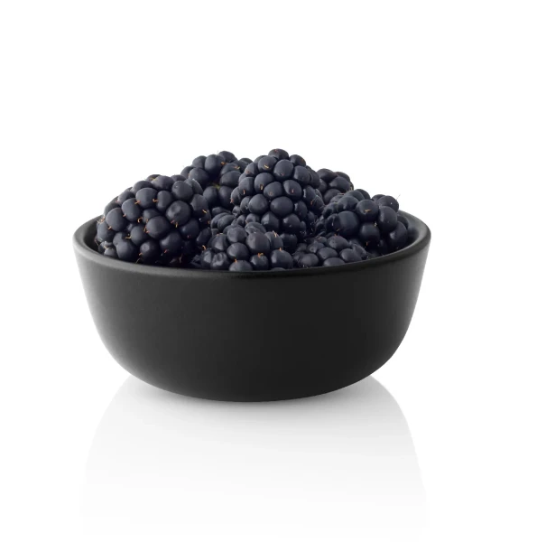 Miseczka Nordic Kitchen 0,15L kamionka czarna - Eva Solo