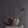 Wazon ozdobny ceramiczny Soil Bowl rudy - Muubs