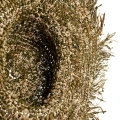 Summer hat Fiesta raffia - Bazar Bizar