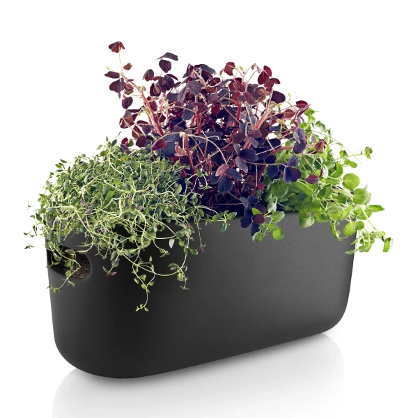 Doniczka na zioła z system samonawadniania Herb Organiser czarna - Eva Solo