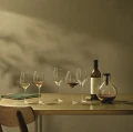Kieliszek do białego wina Sauvignon Blanc 0.3L - Eva Solo