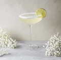 Kieliszek do szampana Champagne Coupe 0.2L - Eva Solo
