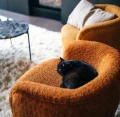 Fotel koktajlowy boucle Porterville, rudy - Pomax