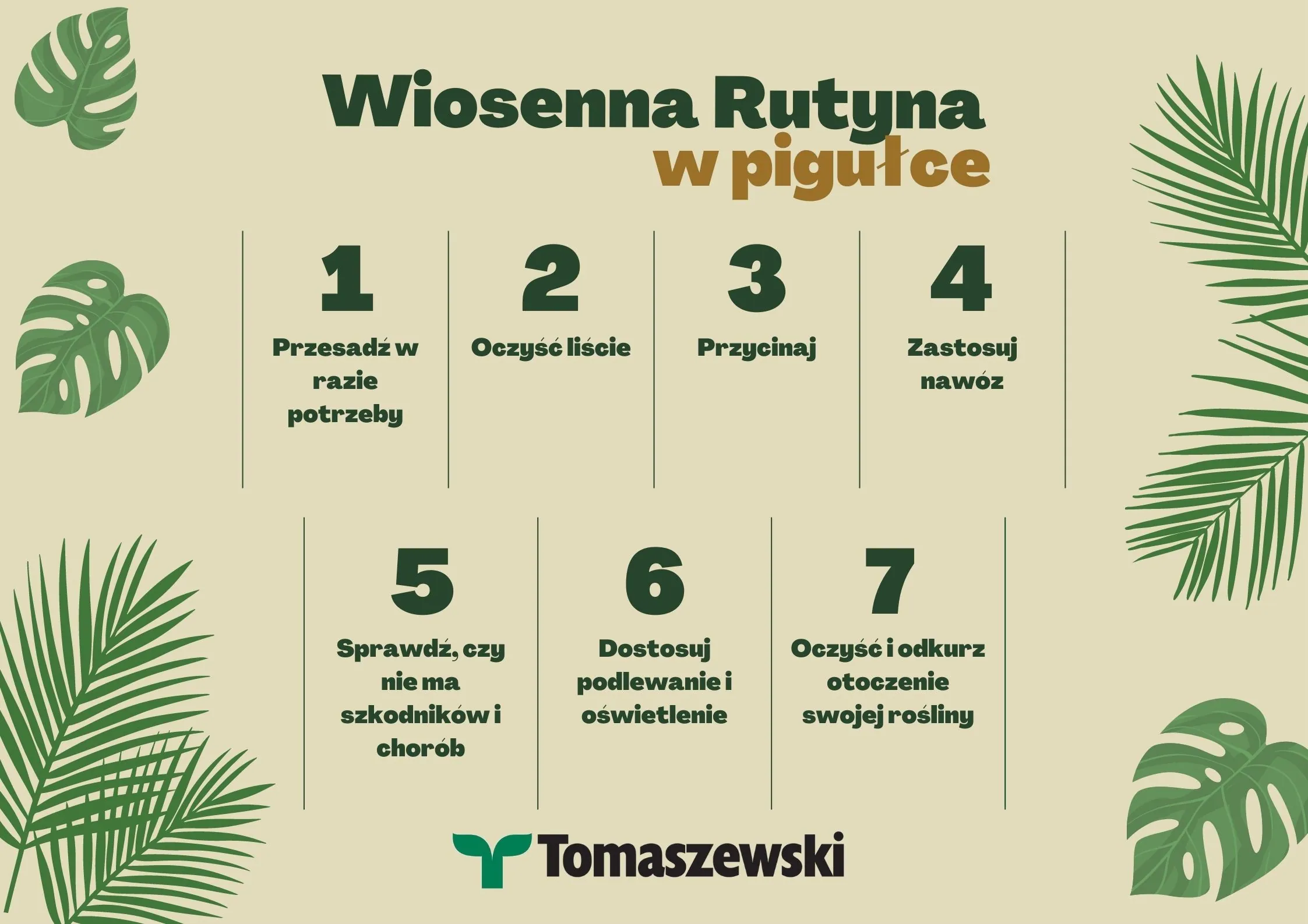 pielęgnacja roślin domowych