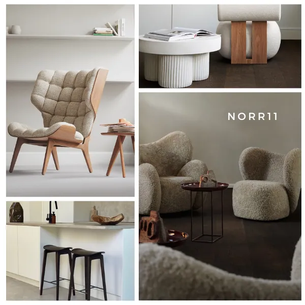 Norr11