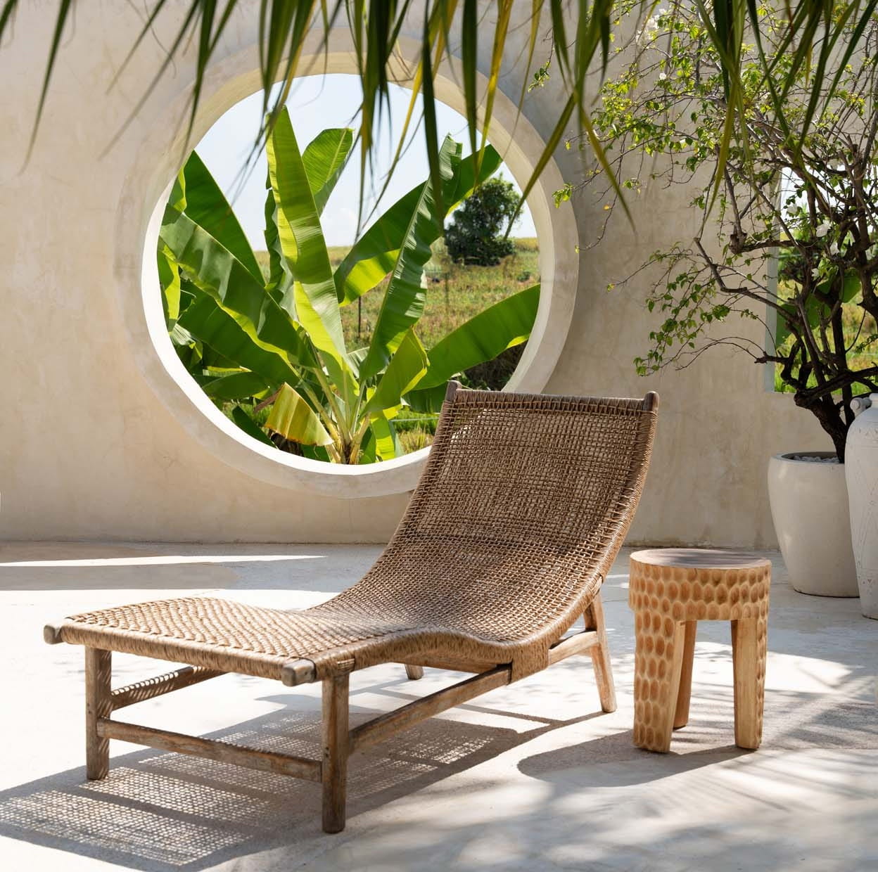 Paramo Bazar Bizar, Natural Home Decor