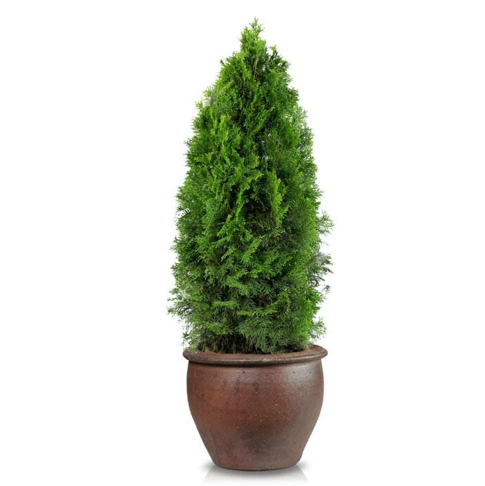 donica ogrodowa, natural home decor
