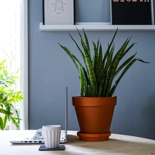 doniczka z terakoty, natural home decor