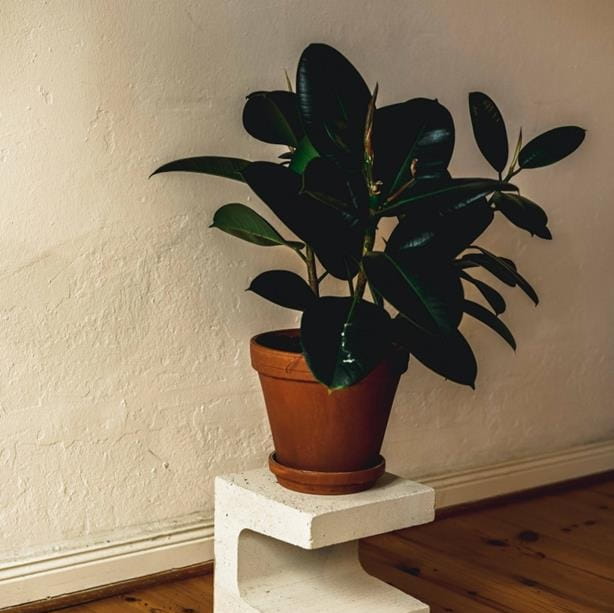 doniczka z terakoty, natural home decor