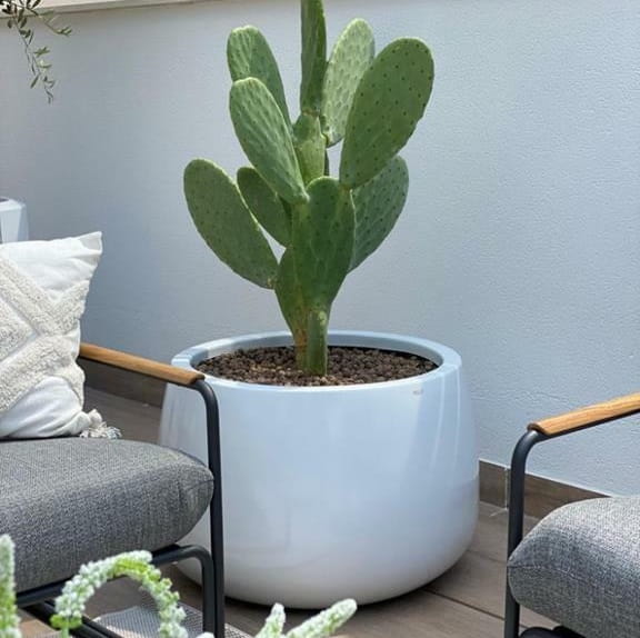 Donice ogrodowe, natural home Decor