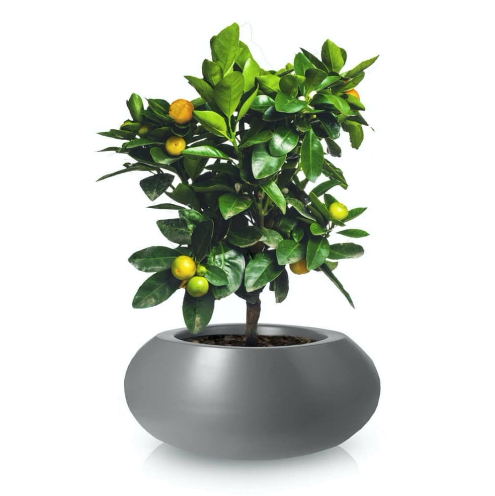 Donice ogrodowe, natural home Decor