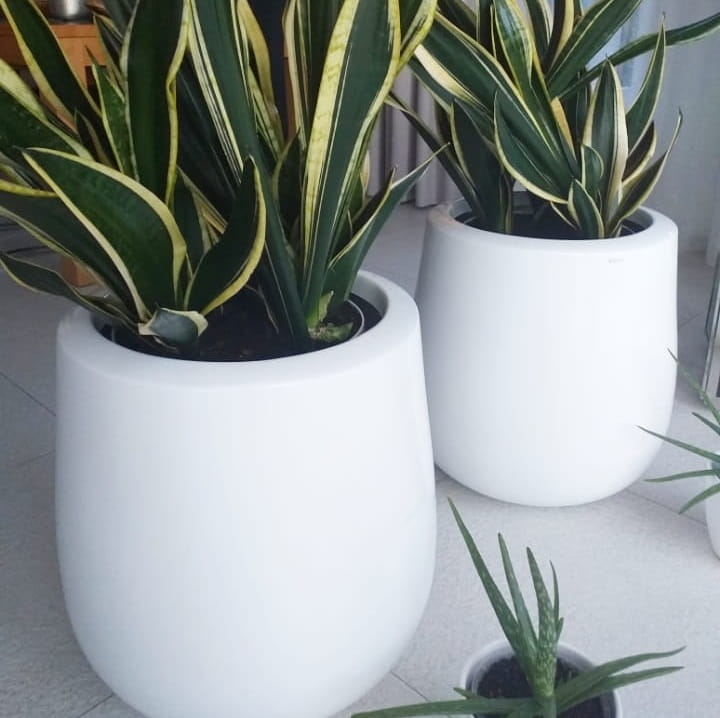 Donice ogrodowe, natural home Decor