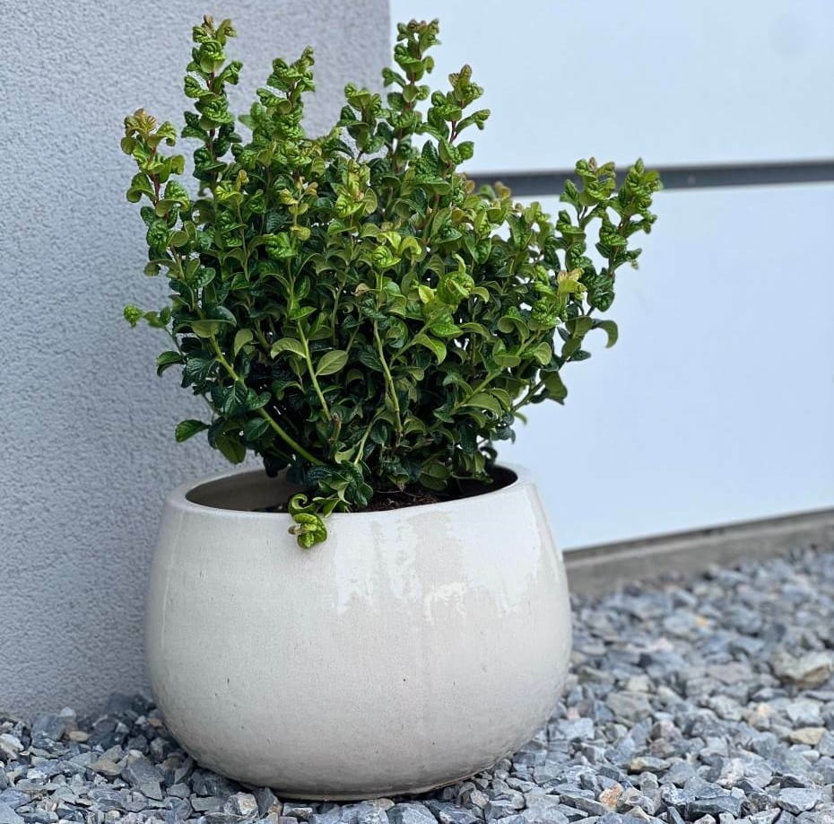 ceramiczna donica ogrodowa, natural home decor