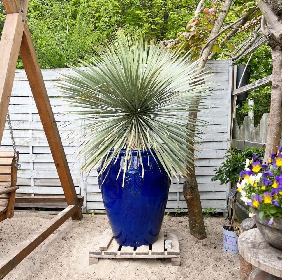 ceramiczna donica ogrodowa, natural home decor
