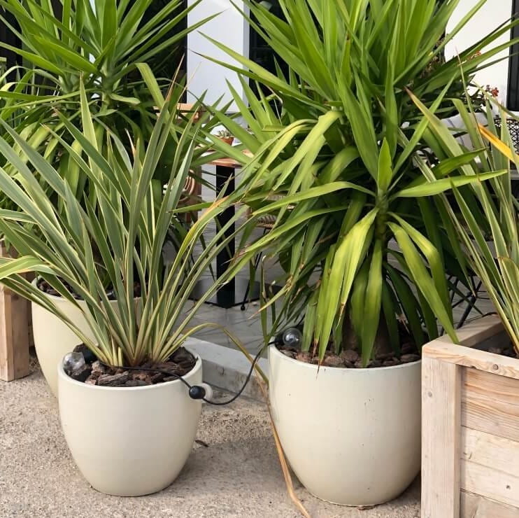 ceramiczna donicaz podstawką, natural home decor