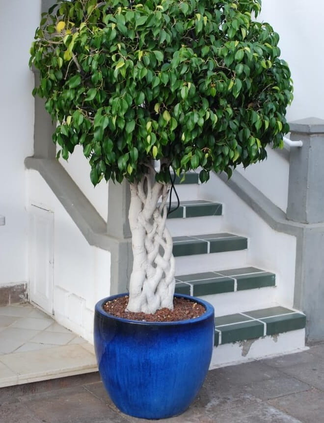 ceramiczna donicaz podstawką, natural home decor