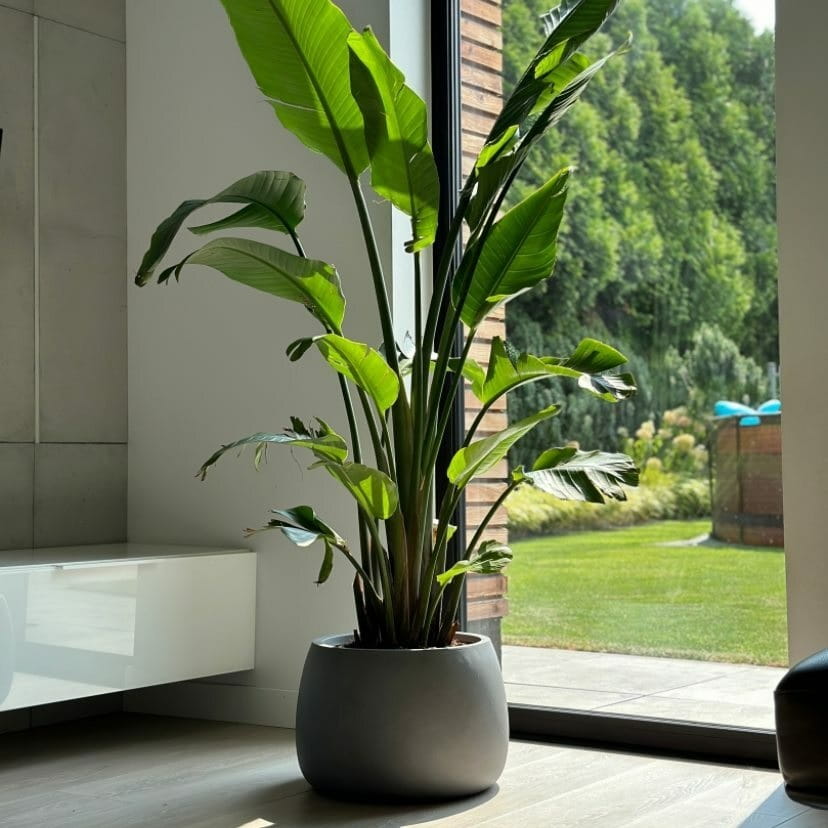 donice z włókna ceramicznego, natural home decor