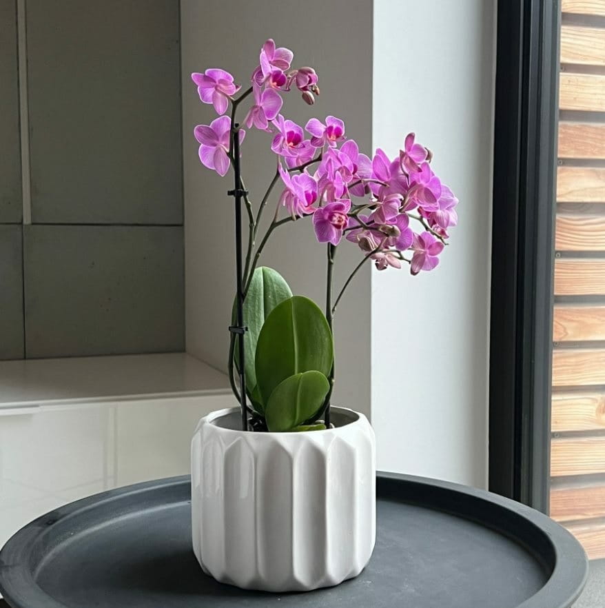 osłonka doniczkowa, natural home decor