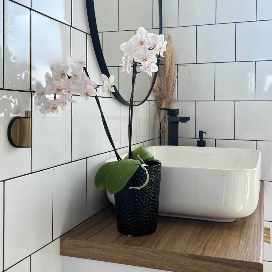 doniczka do storczyka, natural home decor