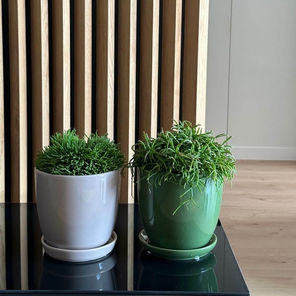 ceramiczna doniczka z podstawką, natural home decor