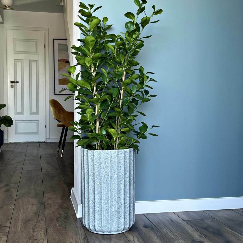 wysoka donica do salonu, natural home decor