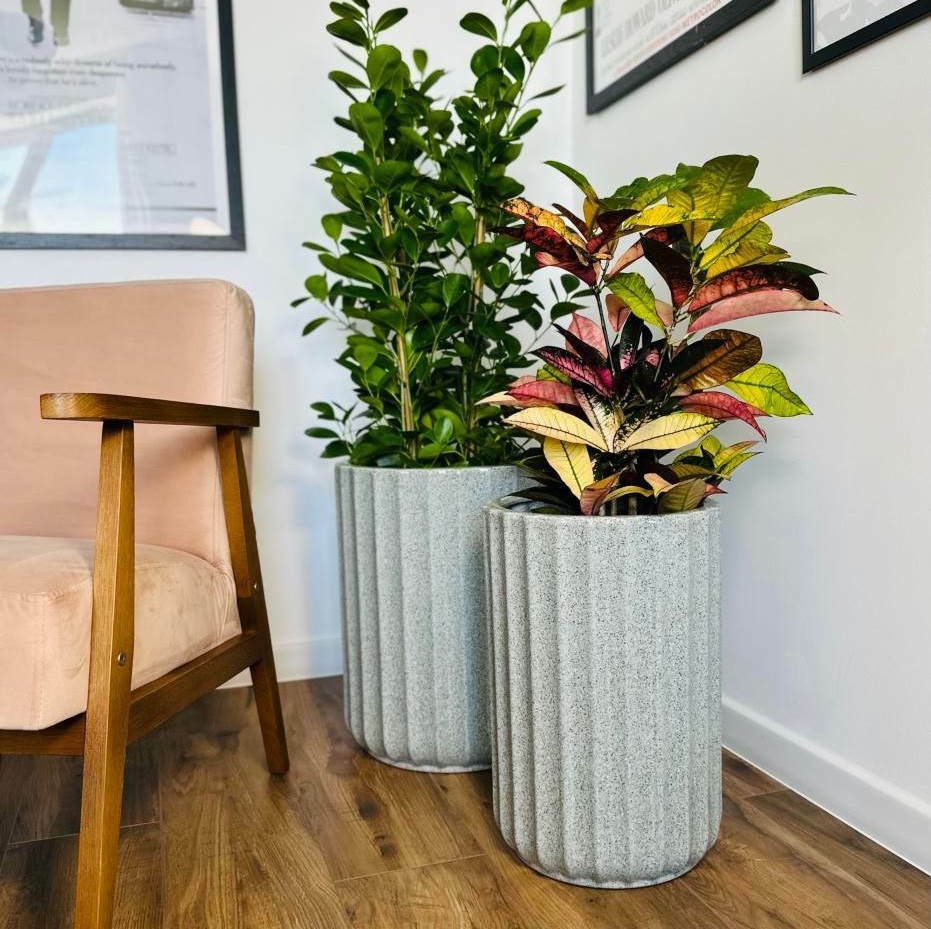 wysoka donica do salonu, natural home decor