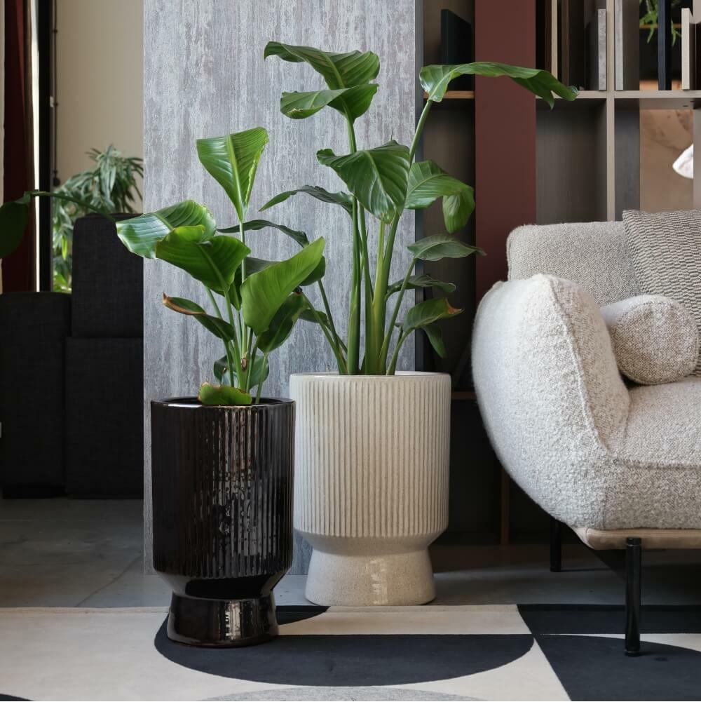 biała osłonka ceramiczna, natural home decor