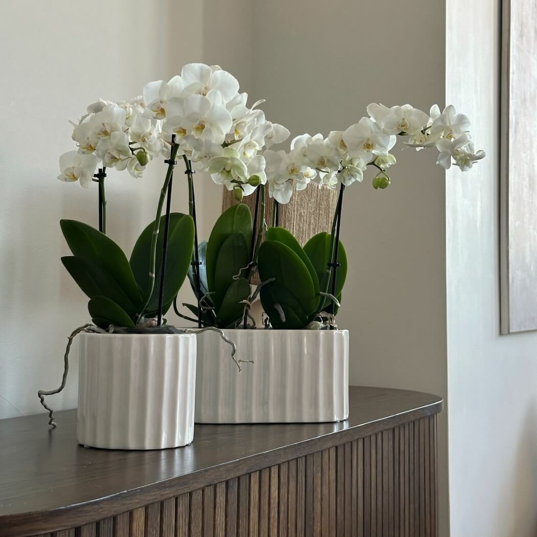 podłużna ceramiczna osłonka biała, natural home decor