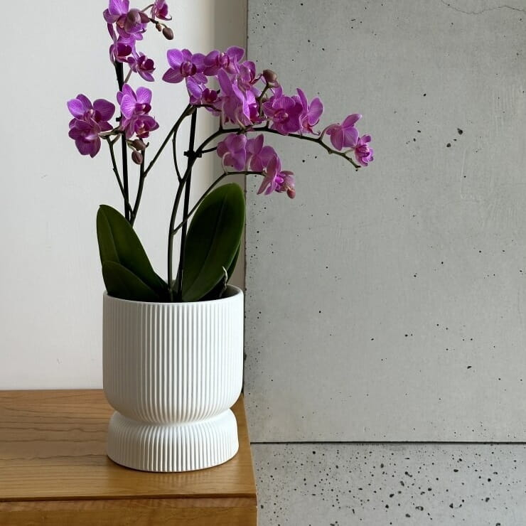 doniczka na nodze, natural home decor