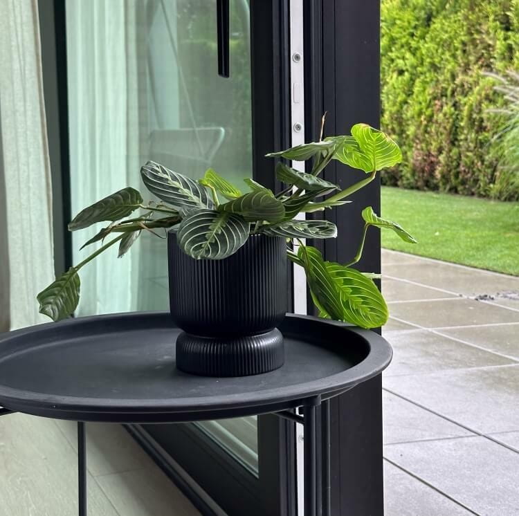doniczka na nodze, natural home decor