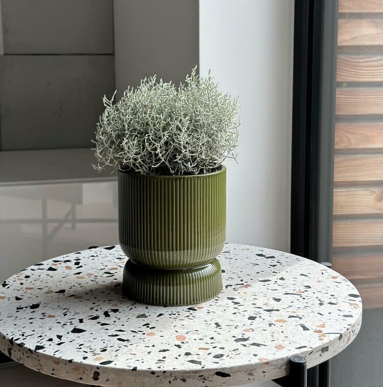 doniczka na nodze, natural home decor
