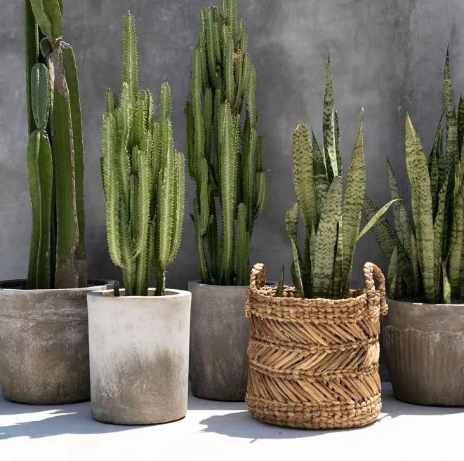 Kosz pleciony ZigzagBazar Bizar - Natural Home Decor