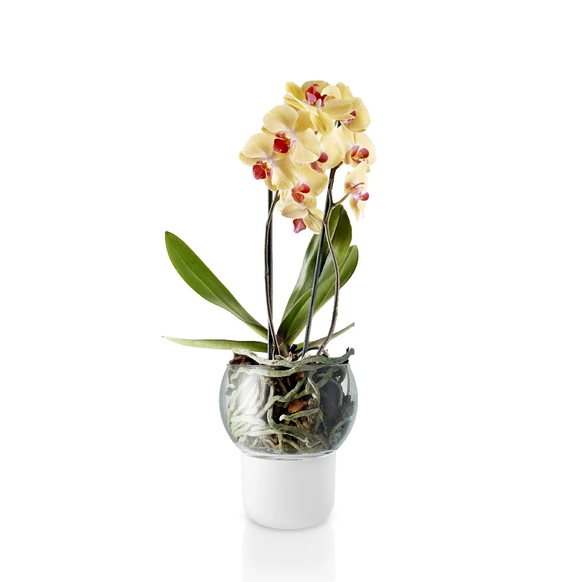 doniczka na storczyki z systemem samonawadniania Eva Solo Natural Home Decor