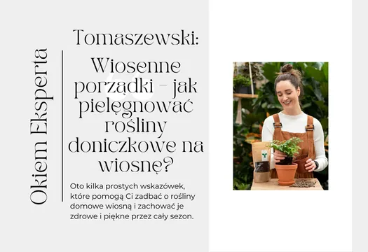 Okiem Eksperta - Tomaszewski: Wiosenne porządki – jak pielęgnować rośliny doniczkowe na wiosnę?